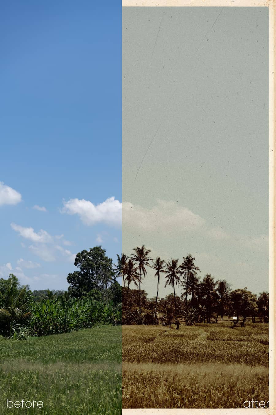 ELSEWHERE Presets | Essential Collection