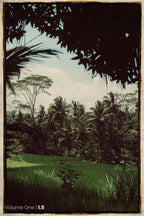 ELSEWHERE Presets | Volume One