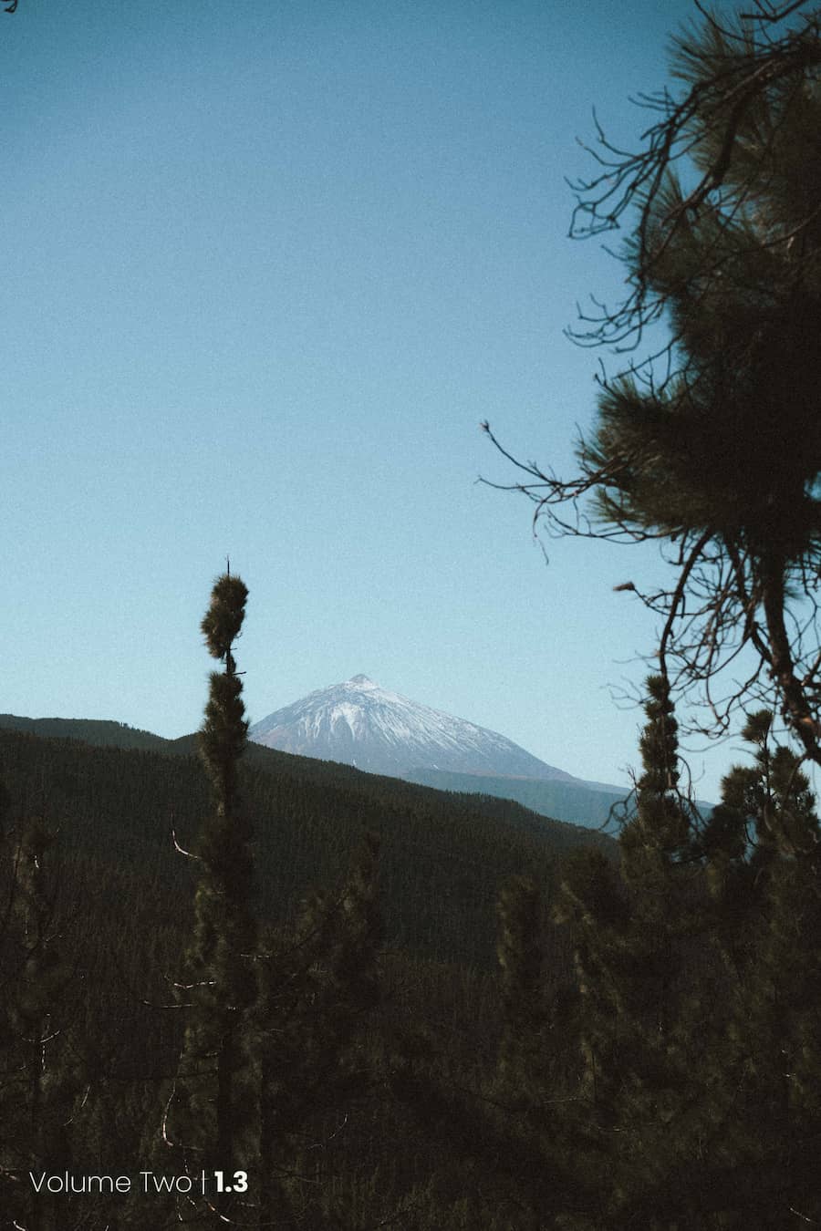 ELSEWHERE Presets | Volume Two